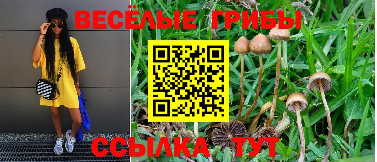 Галлюциногенные грибы Psilocybine cubensis  Галлюциногенные грибы мицелий  Вход с VPN  Артёмовский 
