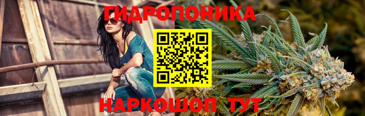Бошки Шишки план  Бошки марихуана гибрид  Вход с VPN  Артёмовский  Шишки марихуана OG Kush 